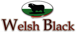 Welshblack Ammerland